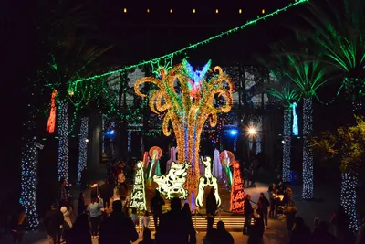 DSC_7097 (Large).JPG